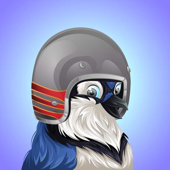 #3958 Bluejay