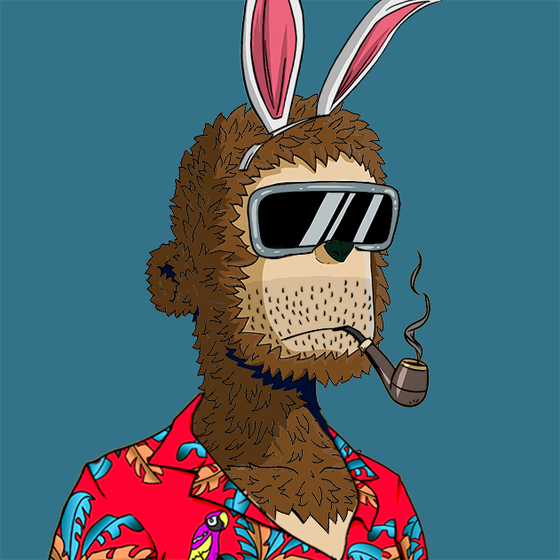 y00ts Yacht Club#9417