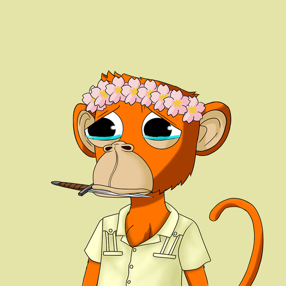 Bored Monke Yacht Club #101