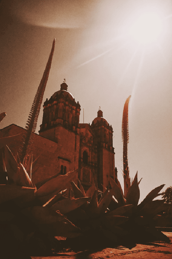 OAXACA BLOX 2020 21 