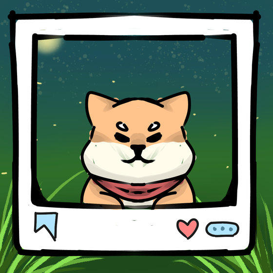 旅する犬 #211