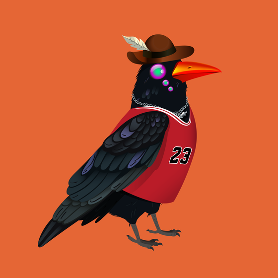 Crazy Crow #4189