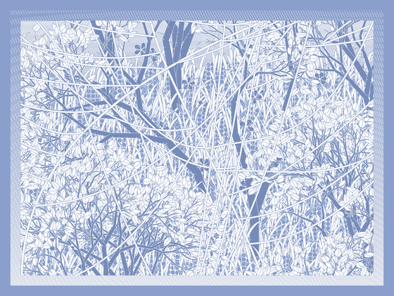 Entangled #355