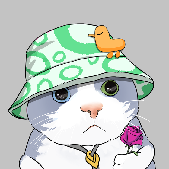Puzzled cat #8270