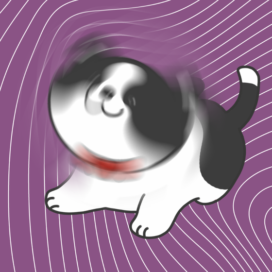 DogDrill#1005