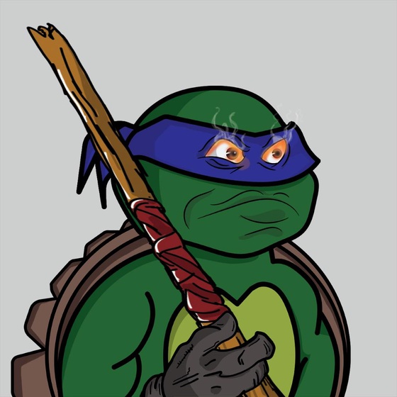 Degen Ninja Turtle #5324