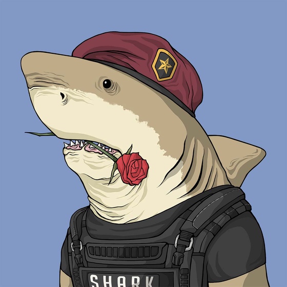 Justice Shark #3721