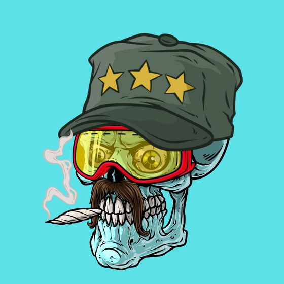 CrazySkull #881