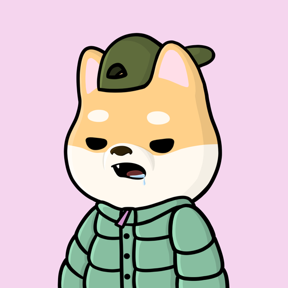Shibe #5009