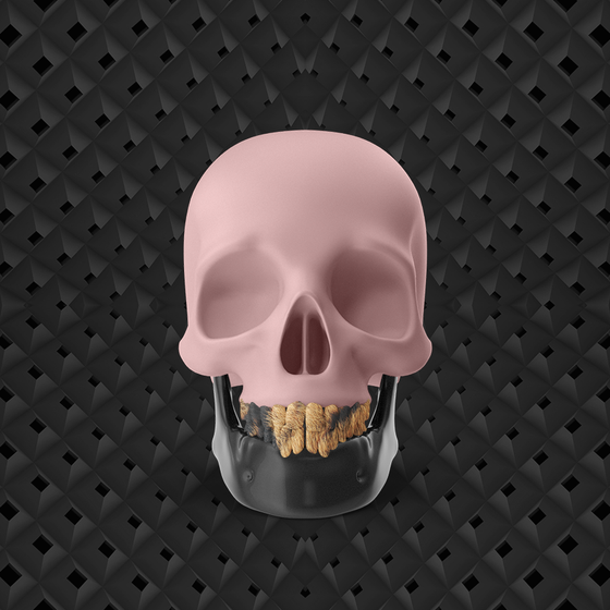 Skull #161