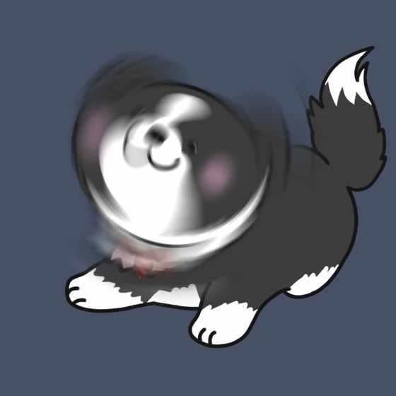 DogDrill#347