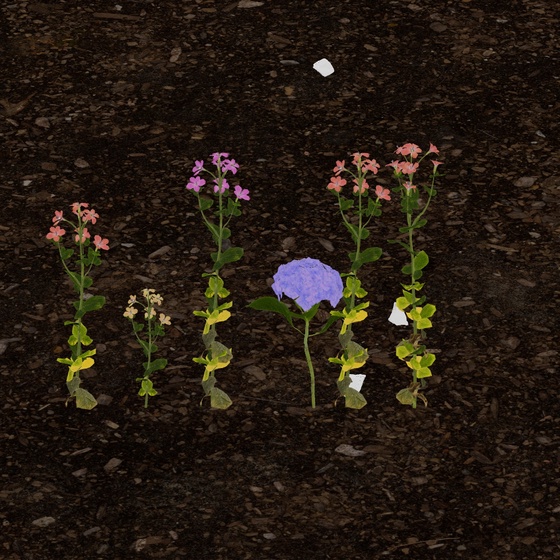 0x97c6's Token Garden