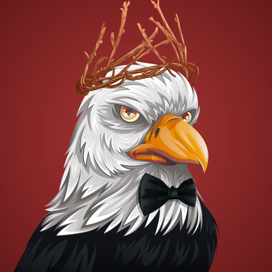 #1297 Bald Eagle