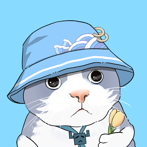 Puzzled cat #6392