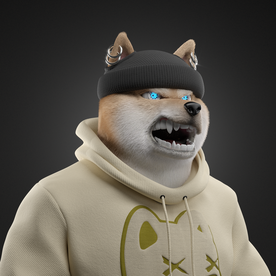 Shiba #5831