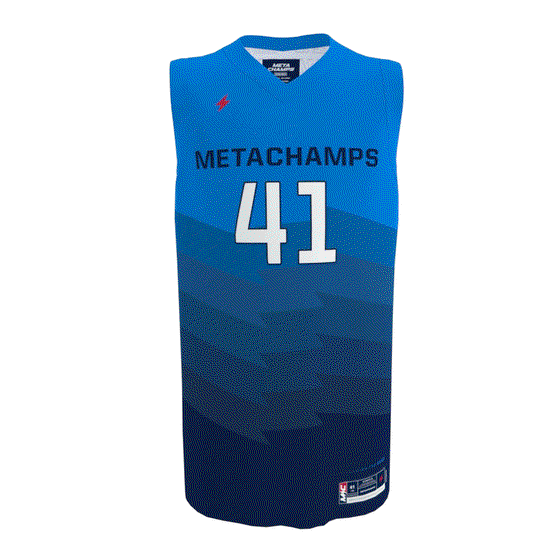 Alt Jersey #41