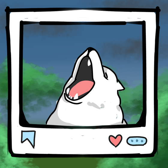 旅する犬 #1586