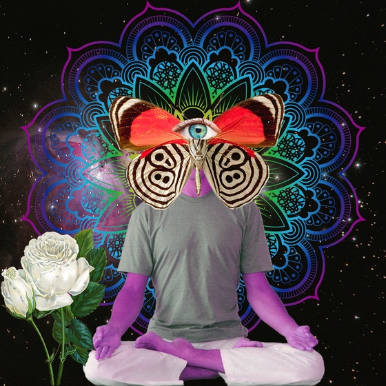 Guru #1139