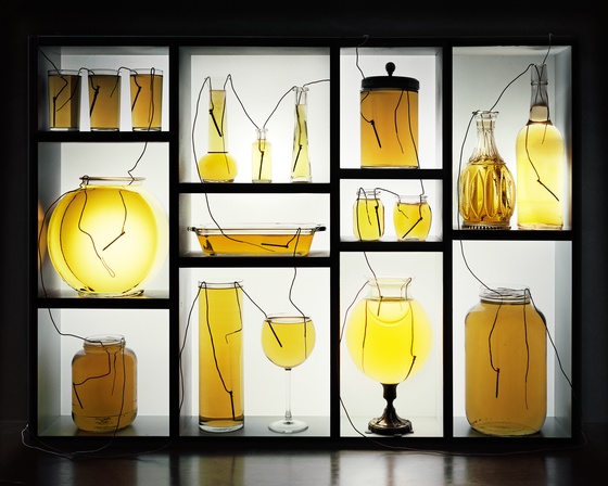 Back to Light - Vinegar Batteries with Glassware and Shelf, 2013