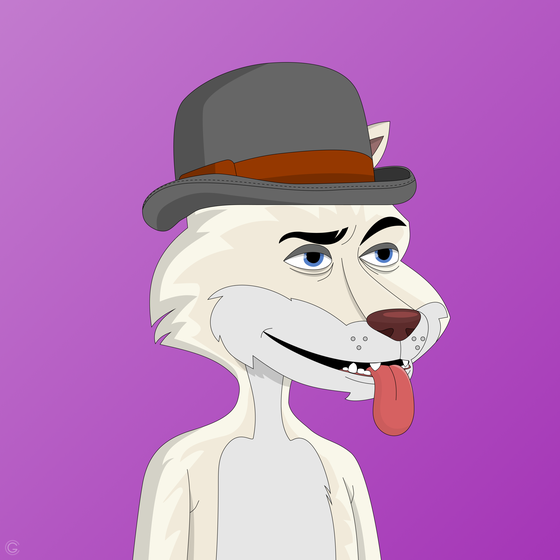 Billionaire Coyote #447