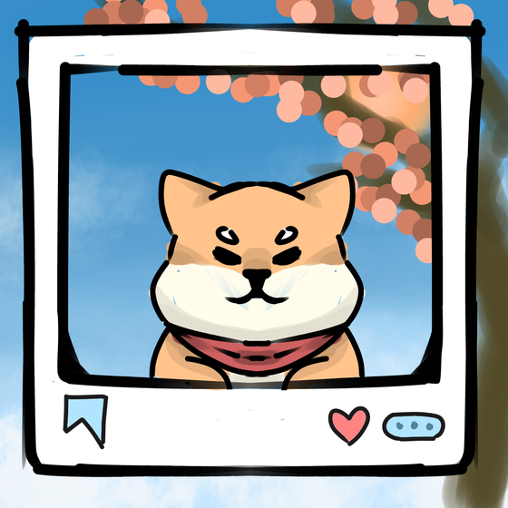 旅する犬 #1002