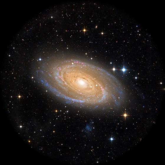 M81