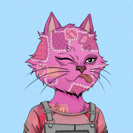 Angry Cat #3751