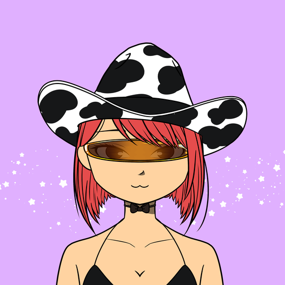 Cosmic Cowgirls #4942