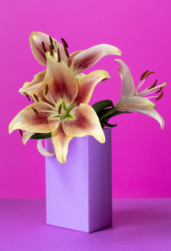 Lilies in a Box