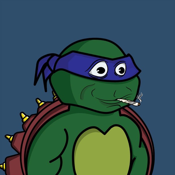 Degen Ninja Turtle #888