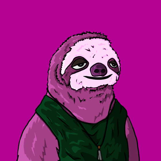 Sammy Sloth Amazon Rainforest Project #112