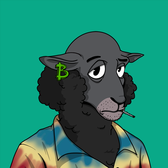 HolySheepz#41