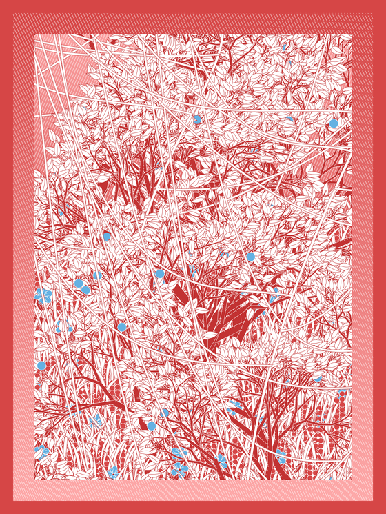 Entangled #168