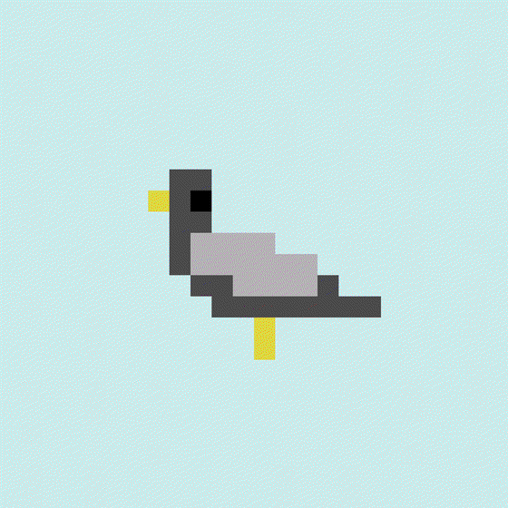 Crypto Pigeon #80