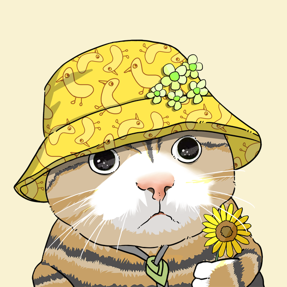 Puzzled cat #6141