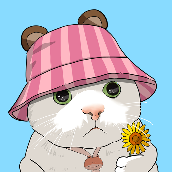 Puzzled cat #2900
