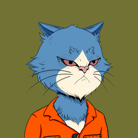 Angry Cat YC #2251