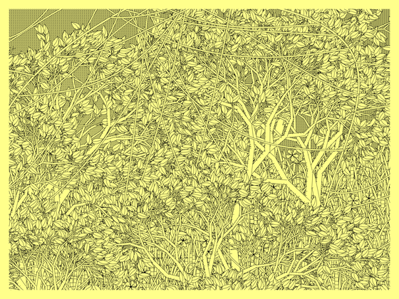 Entangled #377