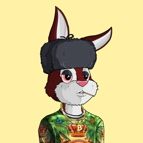Mula Mad Bunny #5433