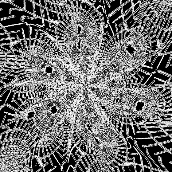 a web of commotion