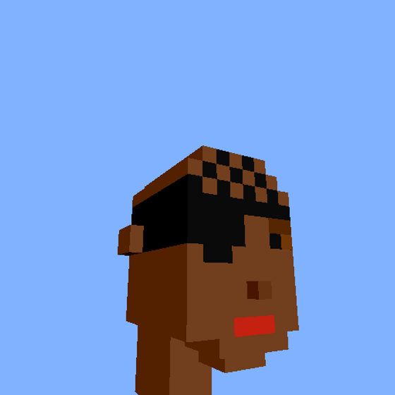 PunkVoxels #2170