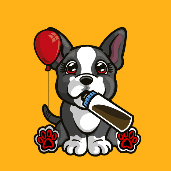 Boston Terrier 0829