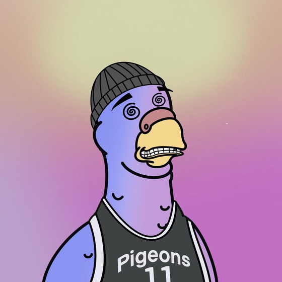 Pigeon #447