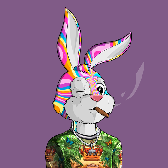 Mula Mad Bunny #5018