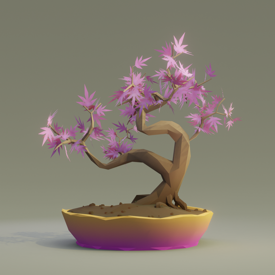 Bonsai #5542