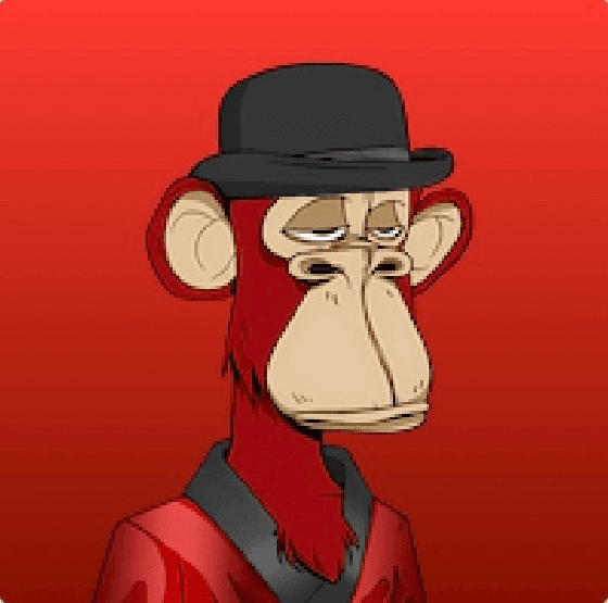 Depressive monkey