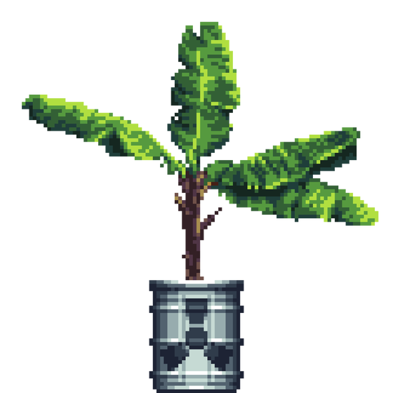 Banana Tree in Radioactive Waste pot