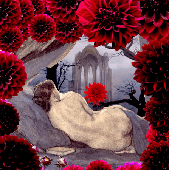 The Red Dahlia 