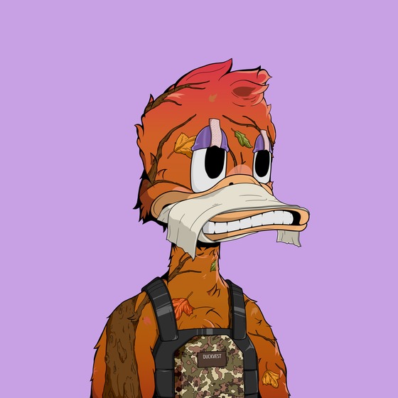 Down Market Ducks #5120