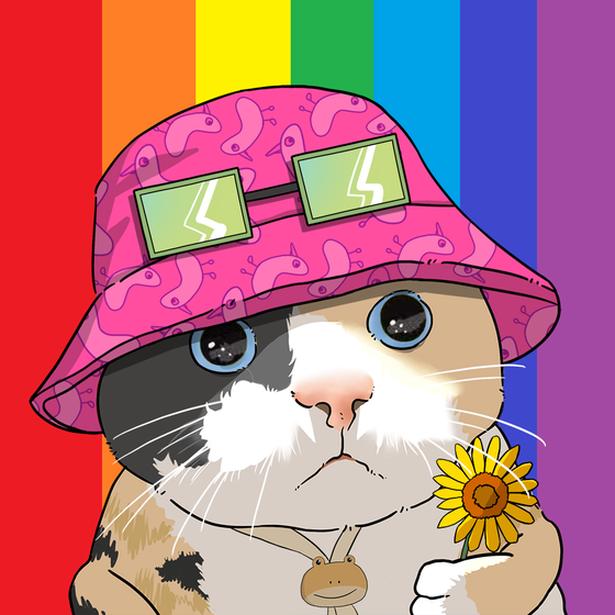 Puzzled cat #1108